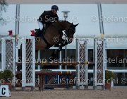 Quality Tosc Tour2013- S5 1867 : Arezzo, Cavalli d'Italia, Quality Up, Toscana Tour 2013, foto di Stefano Secchi ©